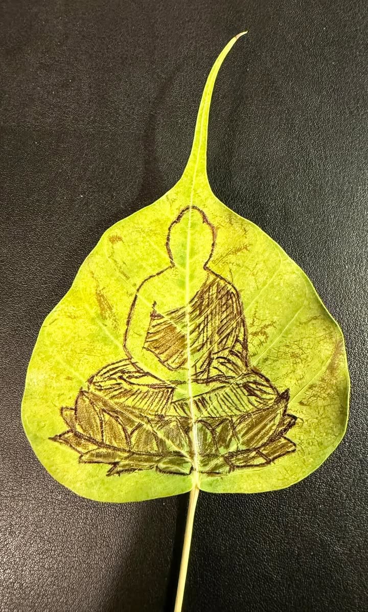 Saraniya Dhamma Meditation Centre