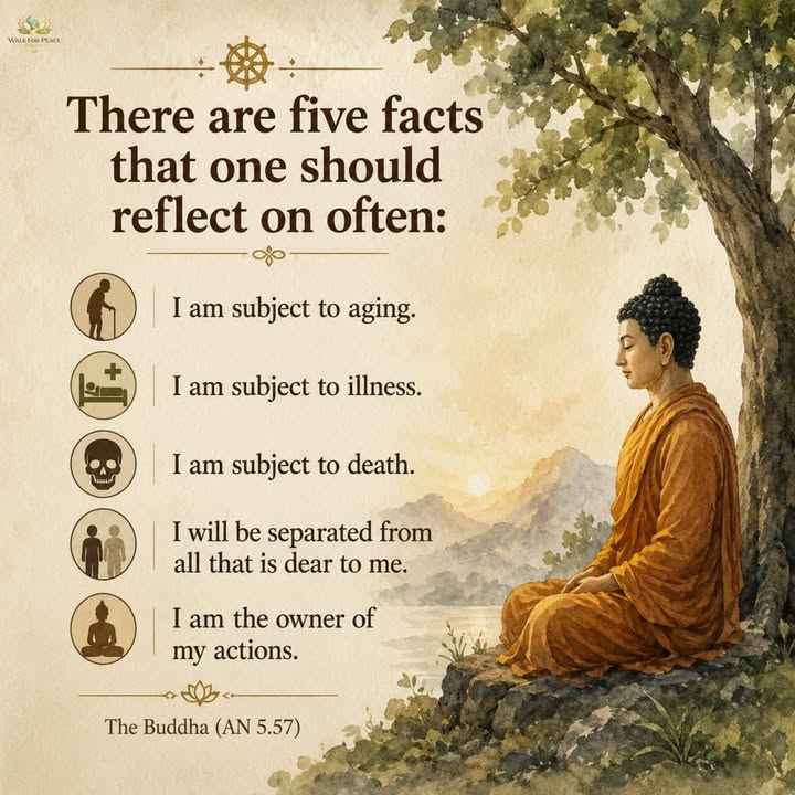 Saraniya Dhamma Meditation Centre